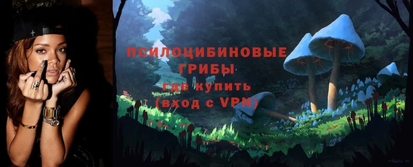 Альфа ПВП Абаза