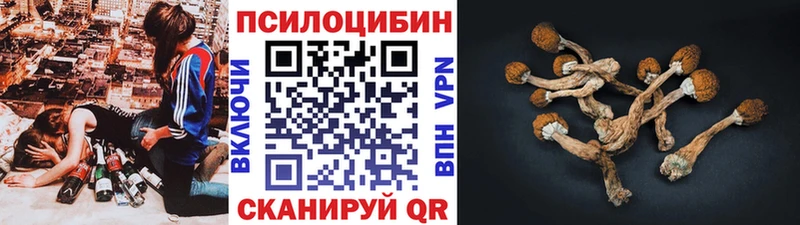 Псилоцибиновые грибы Psilocybe  Комсомольск-на-Амуре 
